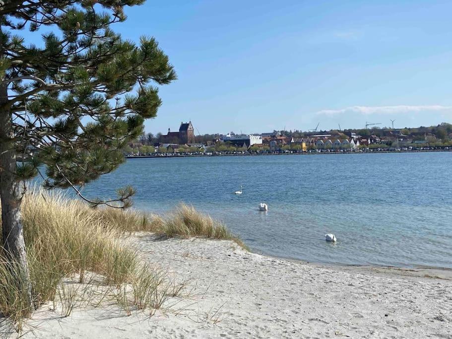 Seaview, Beach, Sunsets, Nature Heiligenhafen Exterior foto