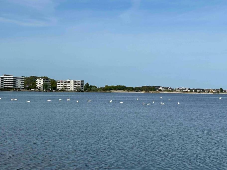 Seaview, Beach, Sunsets, Nature Heiligenhafen Exterior foto